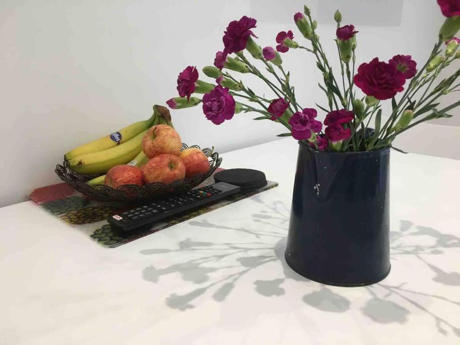 Bright And Spacious Annex Near Lymington With Private Garden المظهر الخارجي الصورة